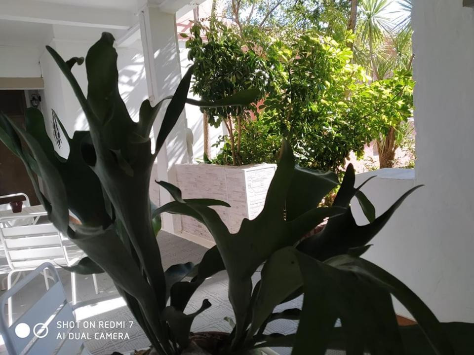 Hosteria Uruguay Piriápolis Buitenkant foto