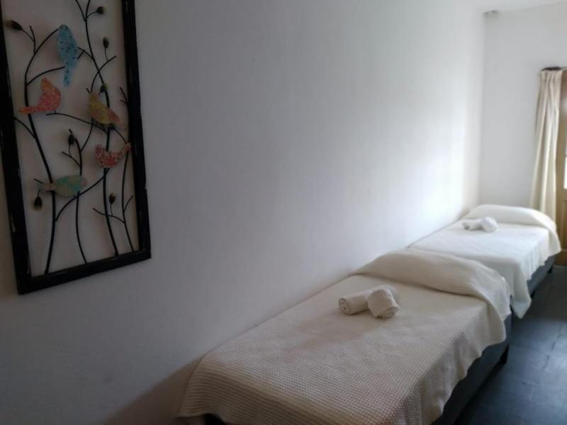 Hosteria Uruguay Piriápolis Buitenkant foto