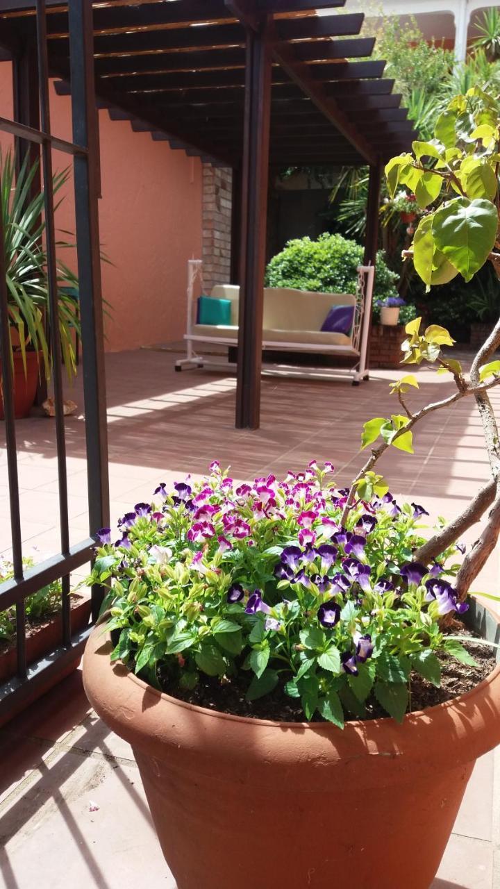 Hosteria Uruguay Piriápolis Buitenkant foto